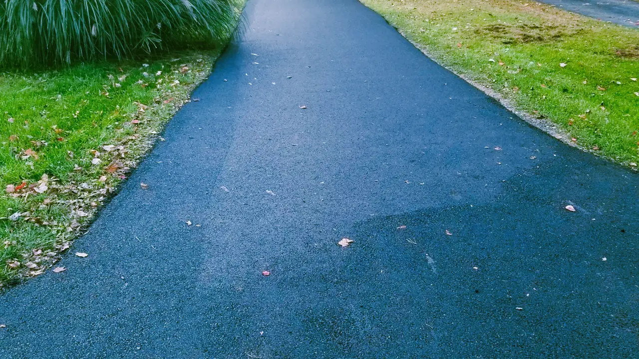 Smooth asphalt driveway curving through ornamental grasses at a New Jersey home